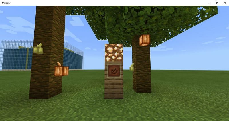 Minecraft cocoa beans Image via Mojang