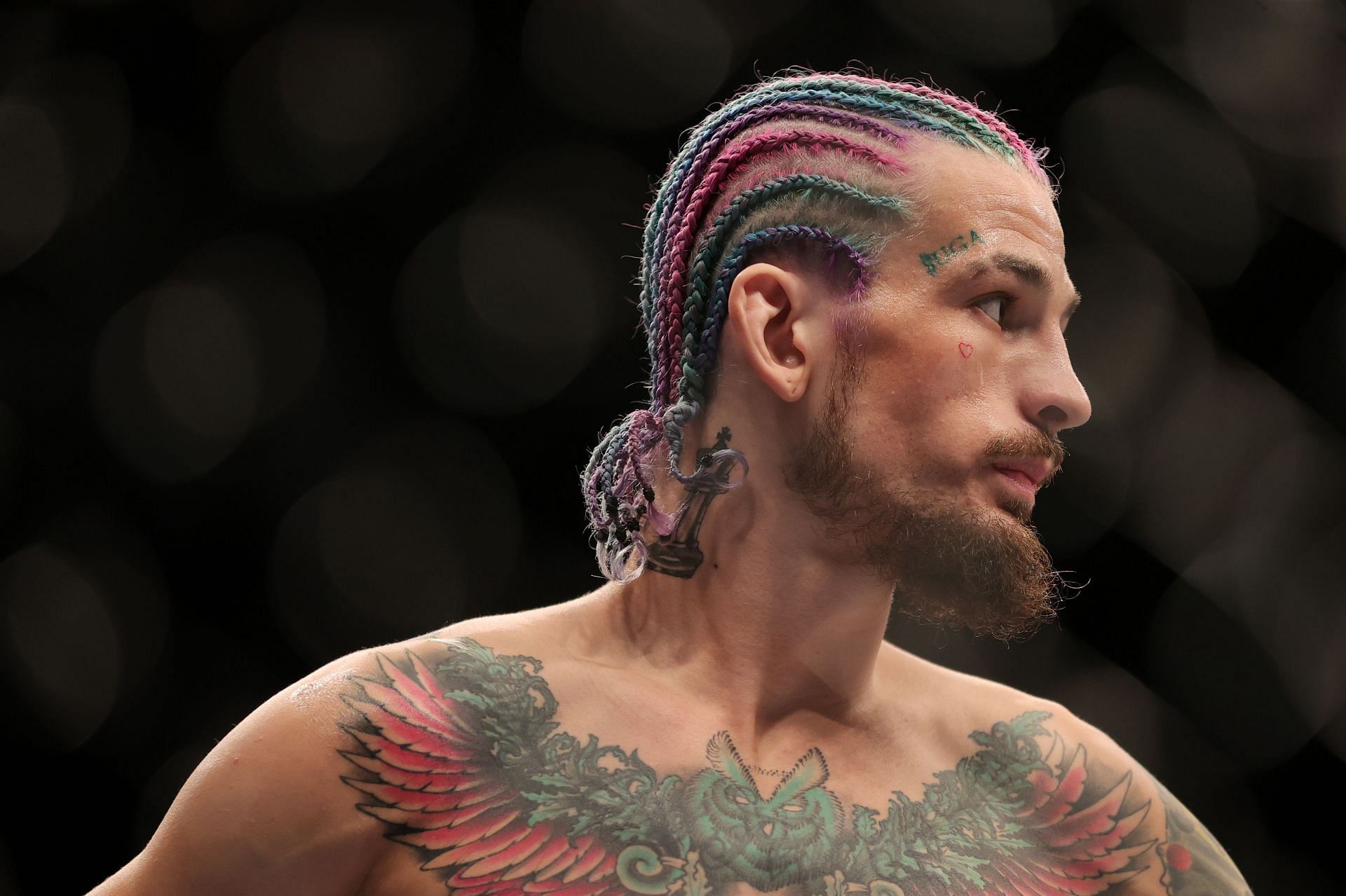 Sean O&#039;Malley earned his UFC contract on DWCS