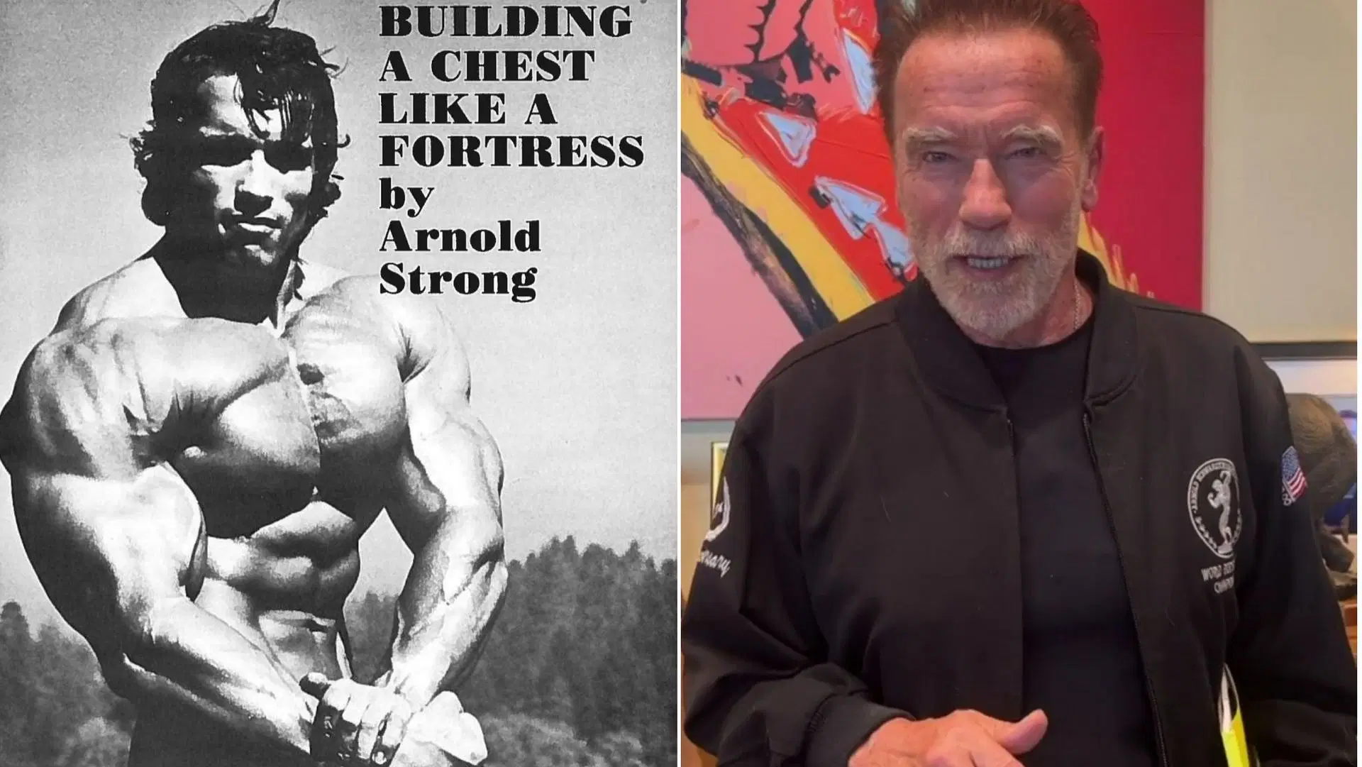 Arnold Schwarzenegger (Image via schwarzenegger/Instagram)