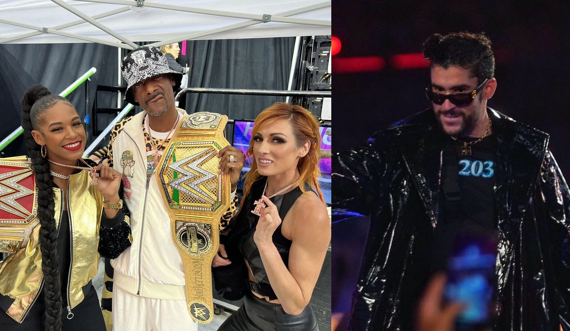 WWE WrestleMania में कुछ सेलिब्रिटी नज़र आ सकते हैं