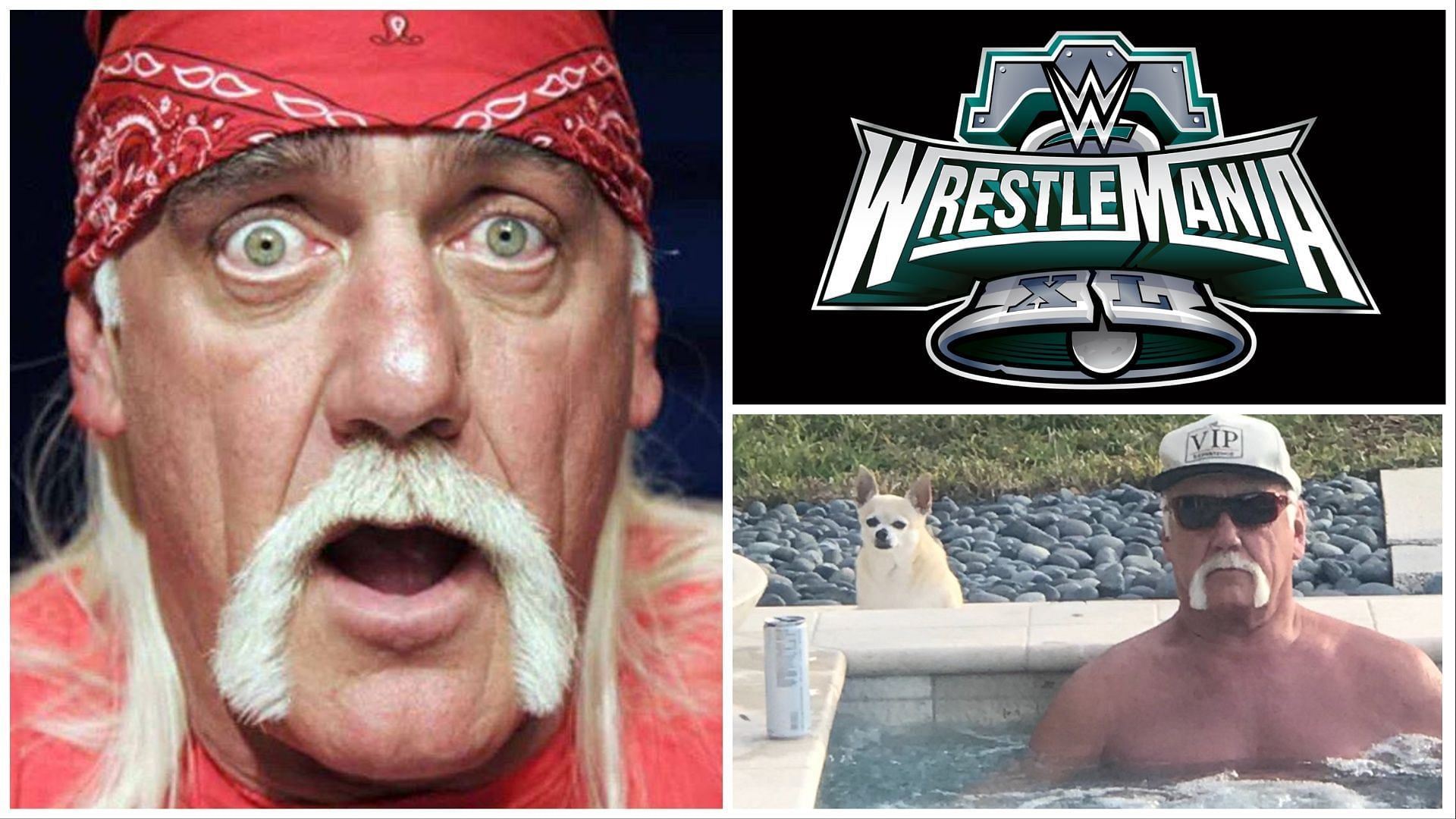 Hulk Hogan could be having his retirement match at WWE WrestleMania 40!
