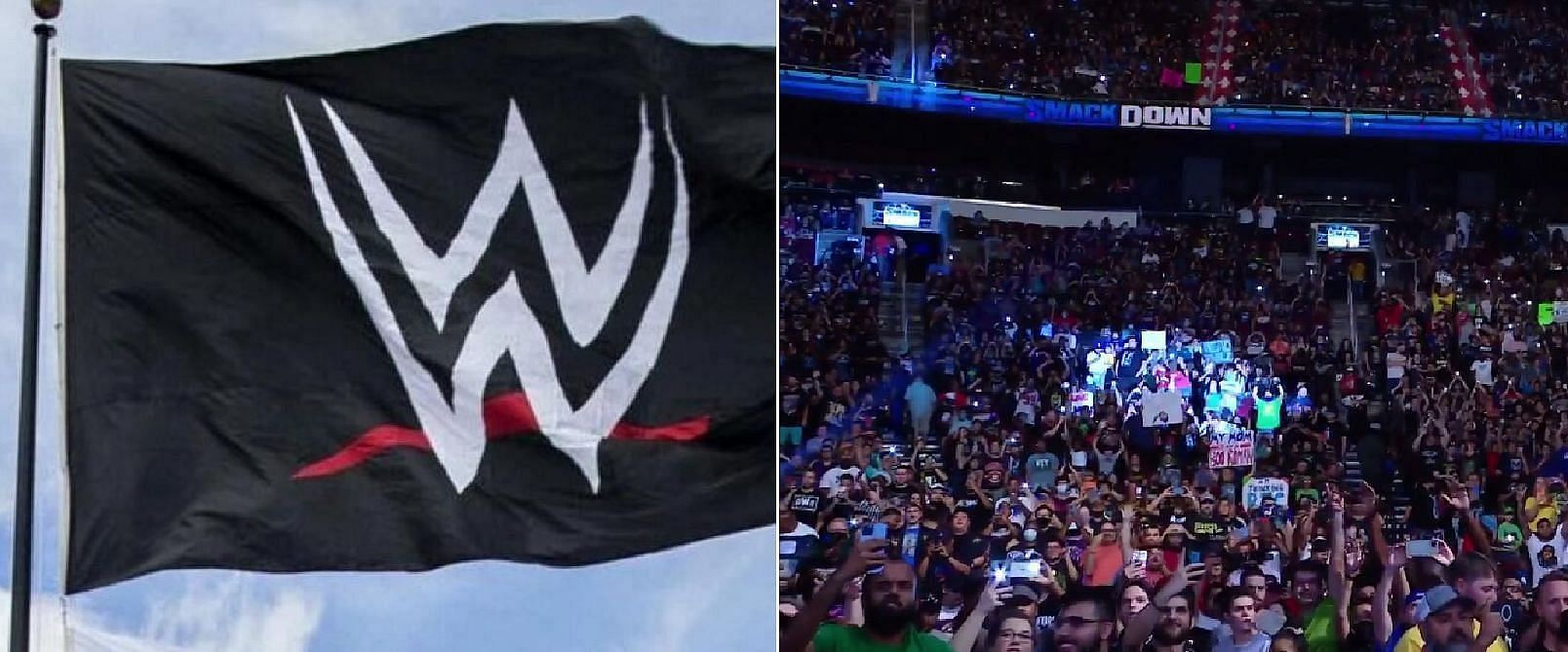 ऐमा ने पिछले साल ही WWE में वापसी की थी
