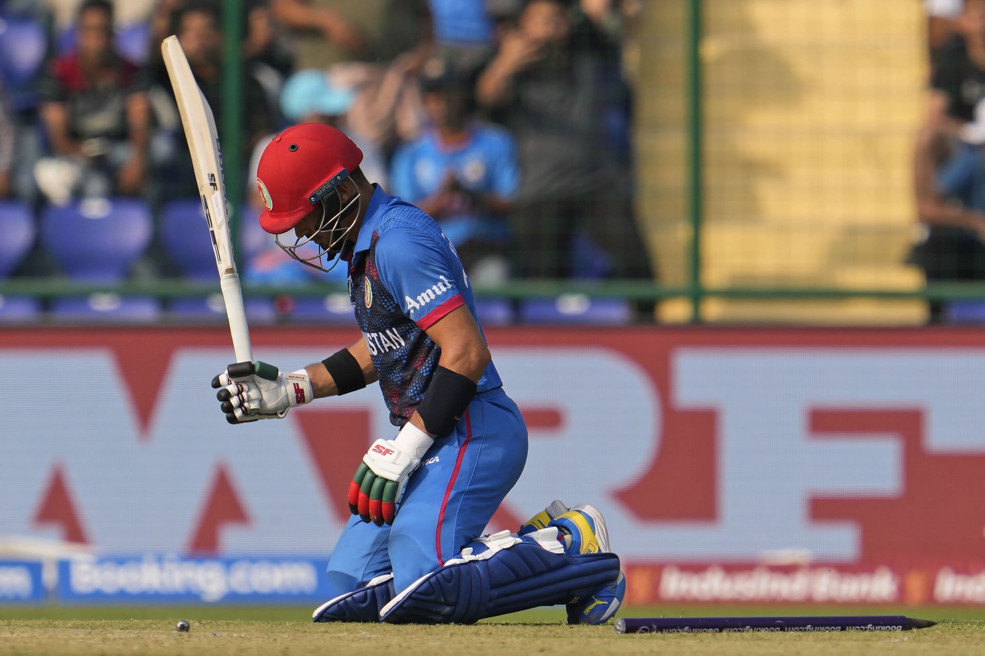 India Cricket WCup