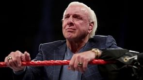 WWE Hall of Famer Ric Flair could return to wrestling in a new role, suggests veteran