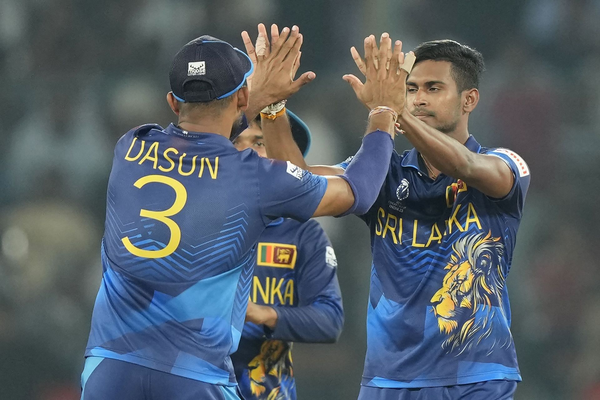 India Cricket WCup