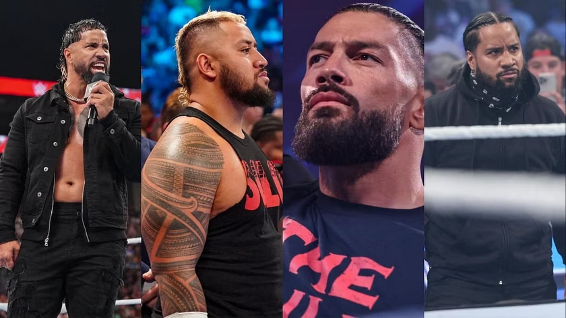 the bloodline wwe