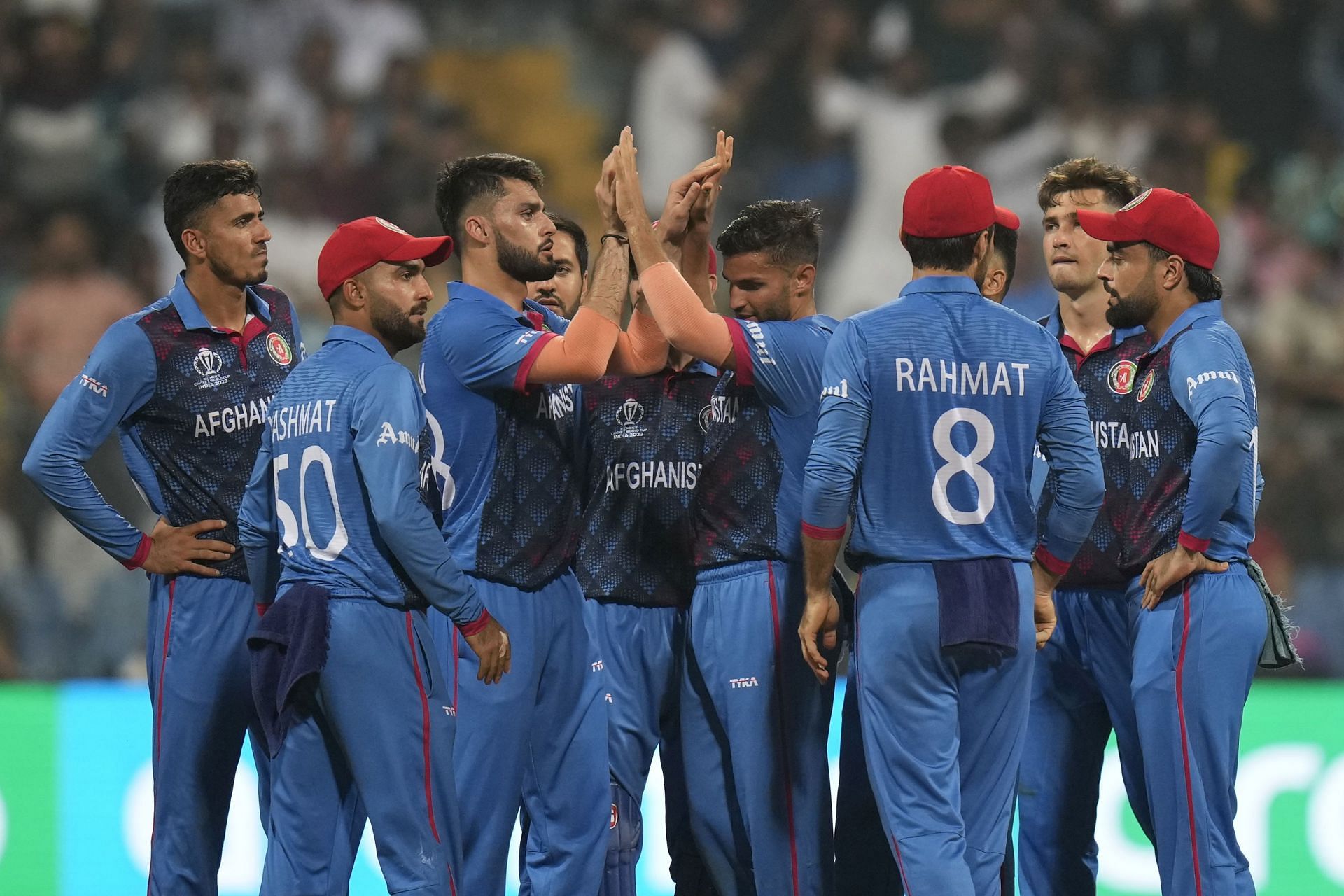 India Cricket WCup