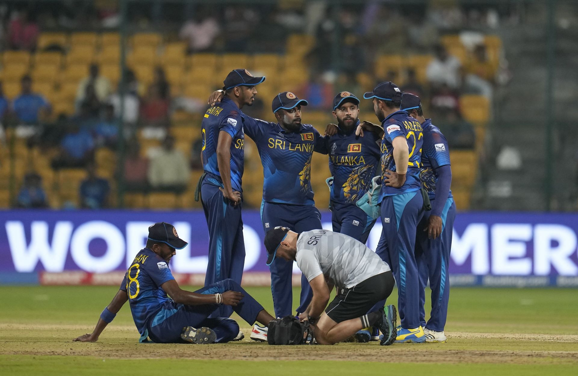 India Cricket WCup