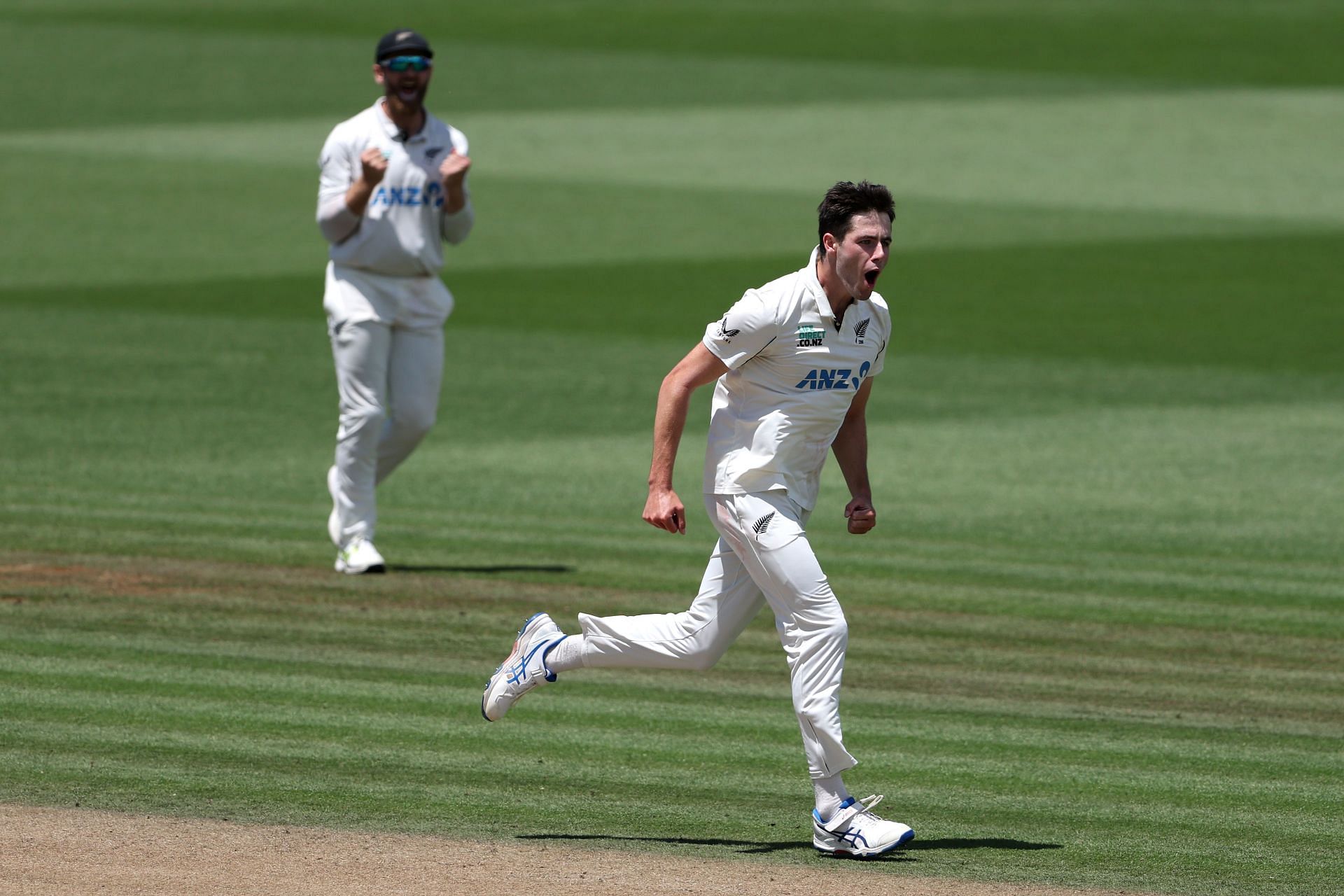O'Rourke played a key role in New Zealand's historic series win in India last year [Credit: Getty]