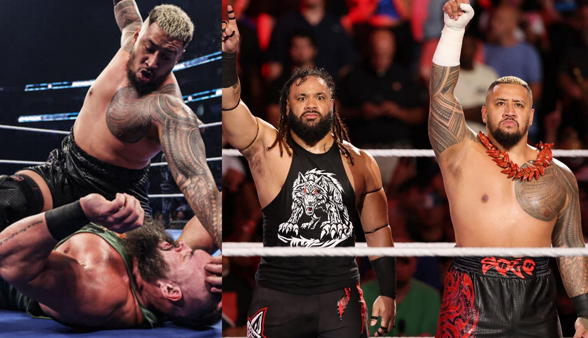 SmackDown में जेकब फाटू की हार हो सकती है (Photo: WWE.com)