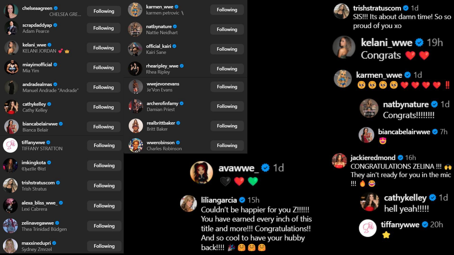 Screenshots of stars&#039; likes and comments [Image credit: Zelina Vega&#039;s Instagram handle]