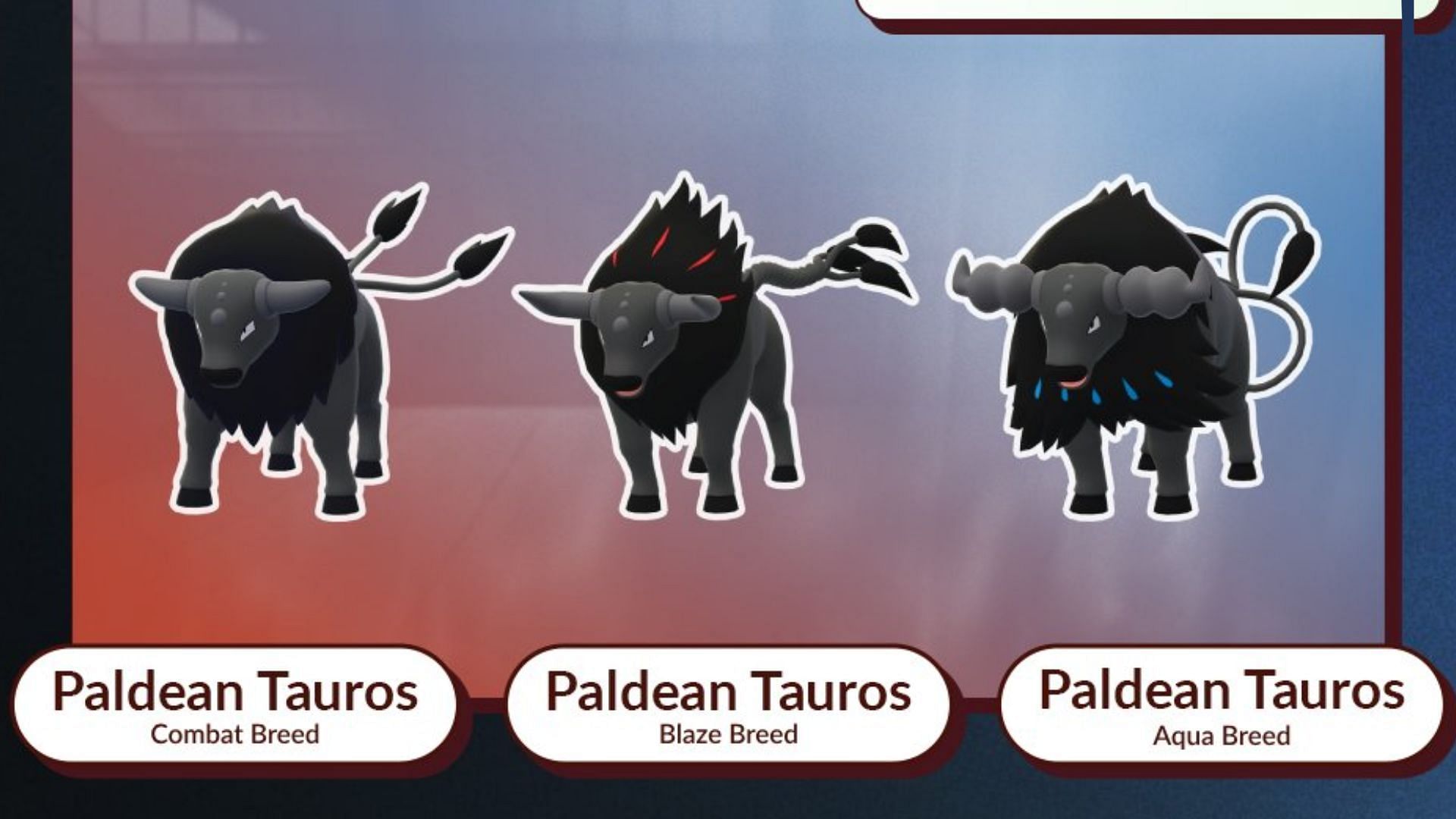 Different Breeds Paldean Tauros in Pokemon GO (Image via TPC)