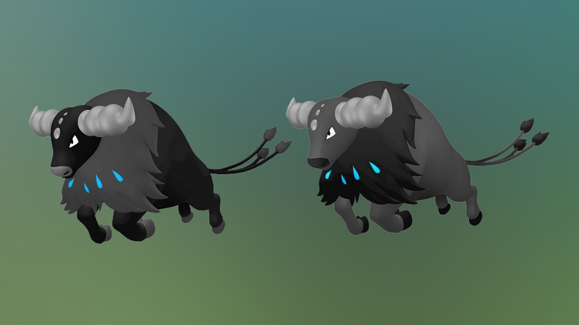Comparison between shiny and normal Aqua Breed Paldean Tauros in Pokemon GO (Image via TPC)