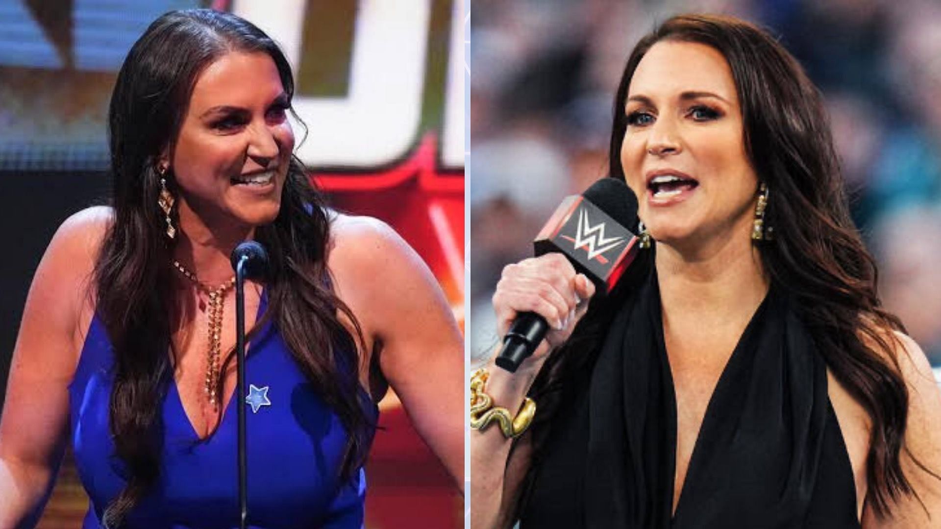 Will Stephanie McMahon be back soon? (via WWE.com)