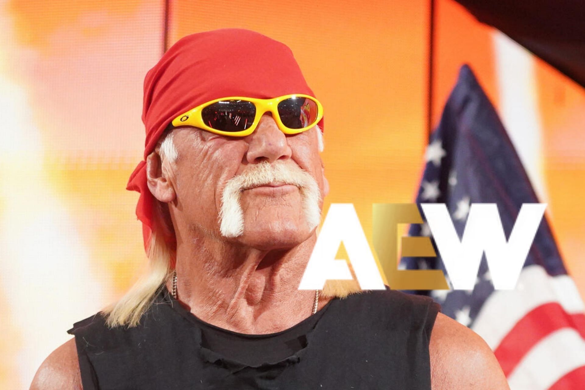 Hulk Hogan AEW