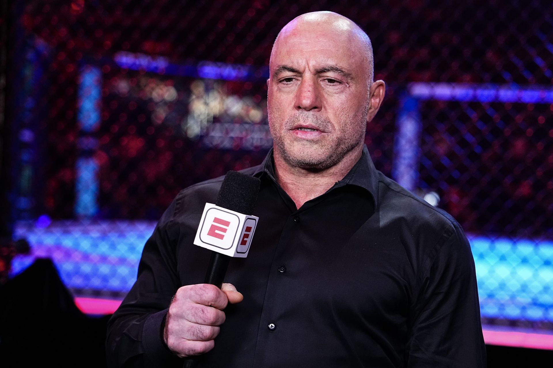 NEW YORK, NEW YORK - NOVEMBER 16: Announcer Joe Rogan looks on during the UFC 309 event at Madison Square Garden on November 16, 2024 in New York City. (Photo by Jeff Bottari/Zuffa LLC) - Source: Getty
