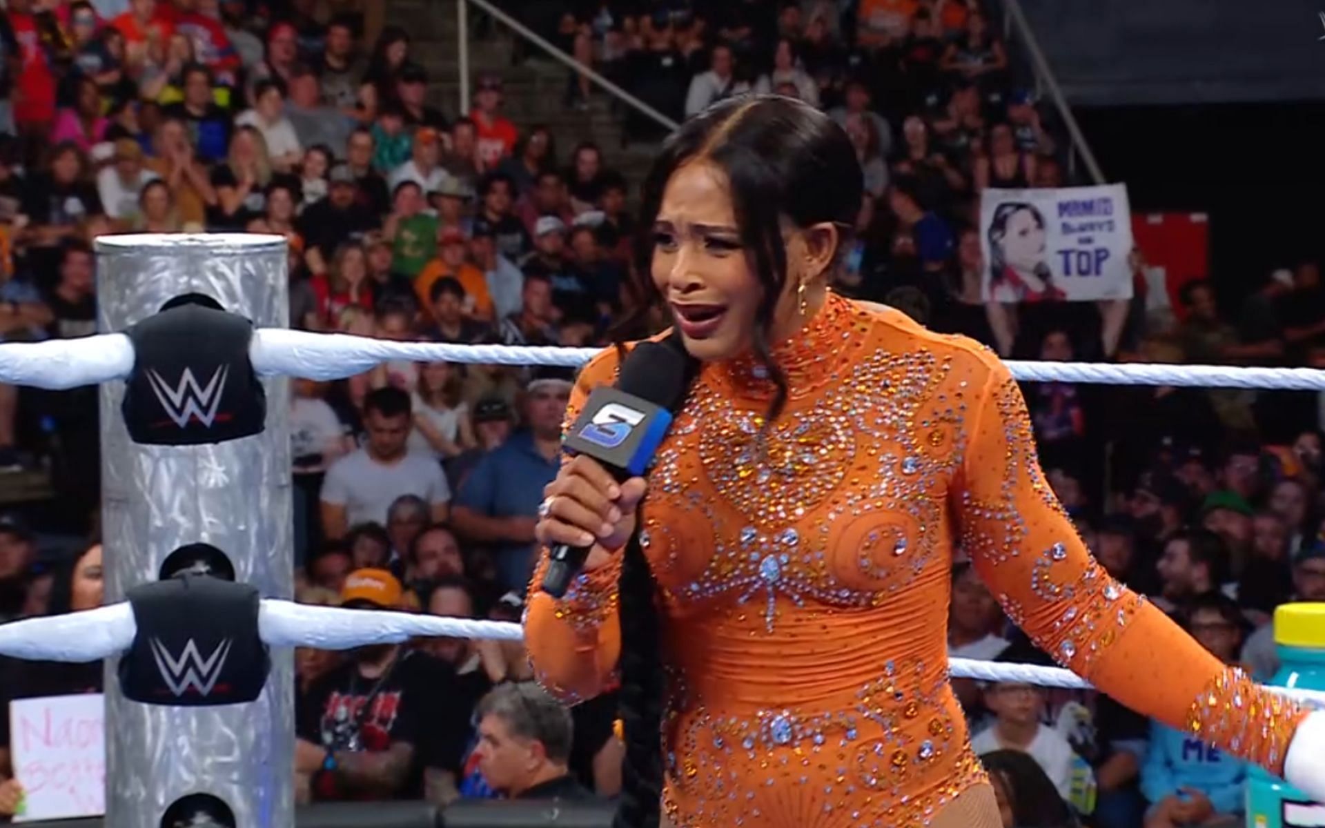 (Picture Courtesy: WWE on Netflix)