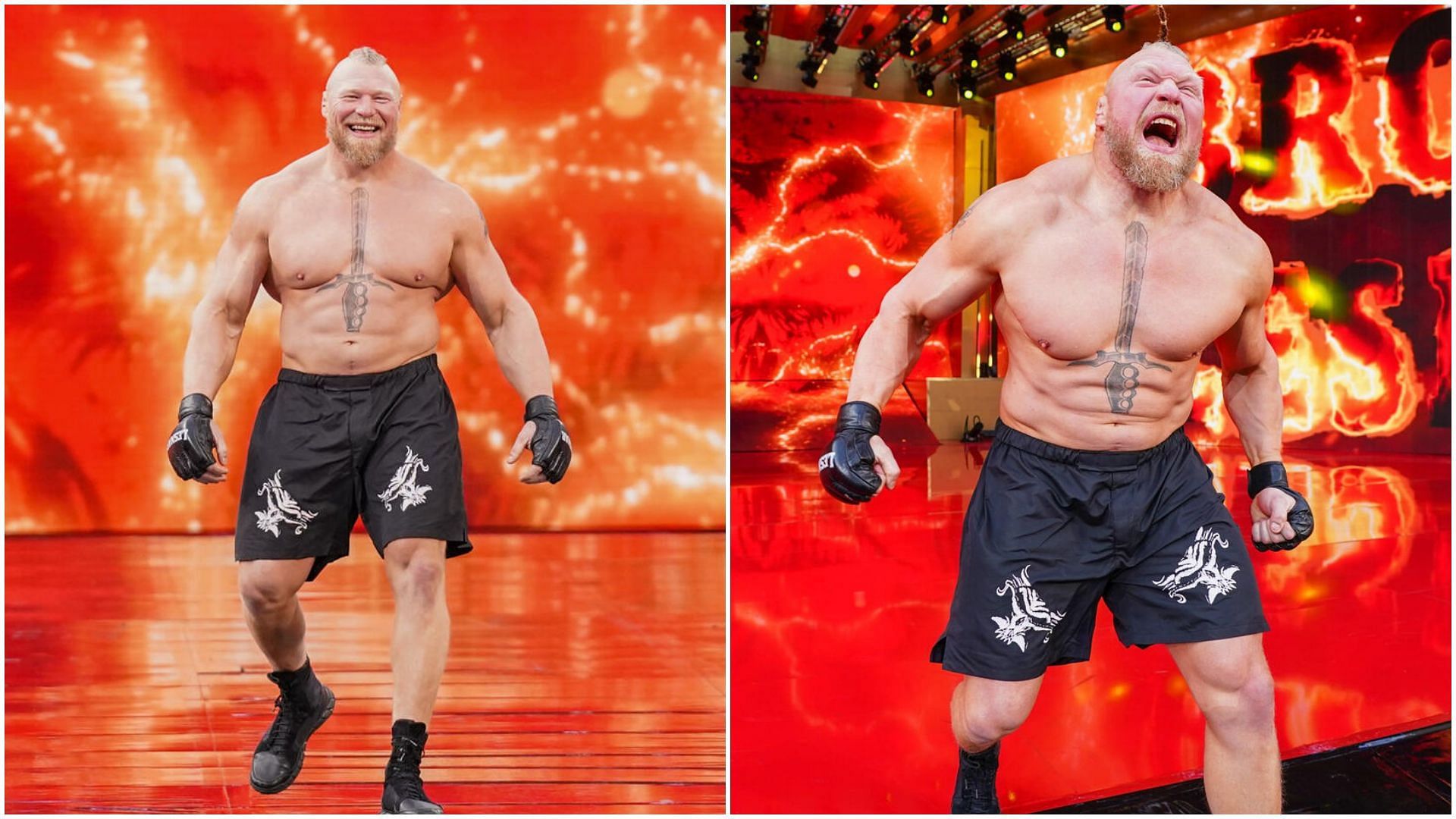 Brock Lesnar is a former WWE Champion. [Images from WWE.com]