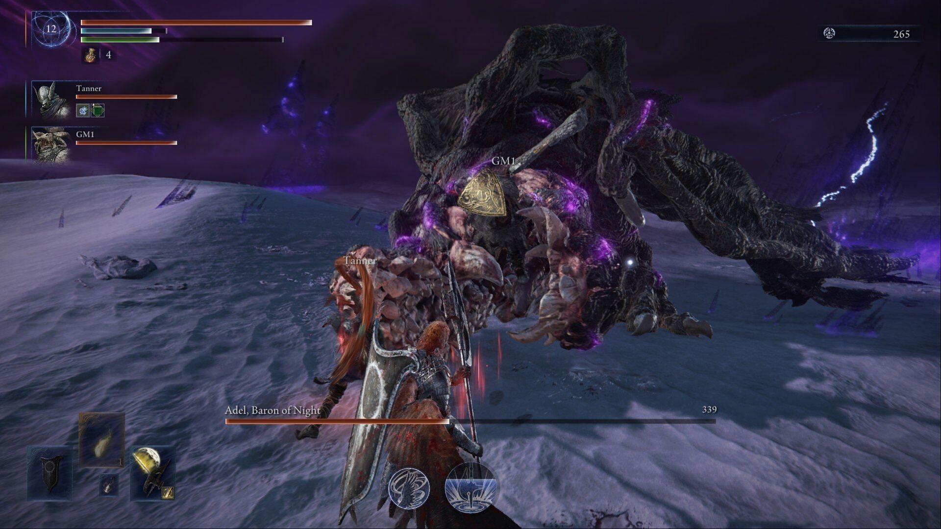 Elden Ring Nightreign Adel boss fight
