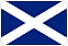 team-flag