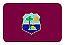 team-flag