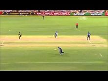 Video: Funny cricket moment - Runner confuses fielding team