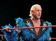 WWE News: Carolina Panthers DE Charles Johnson calls out Ric Flair